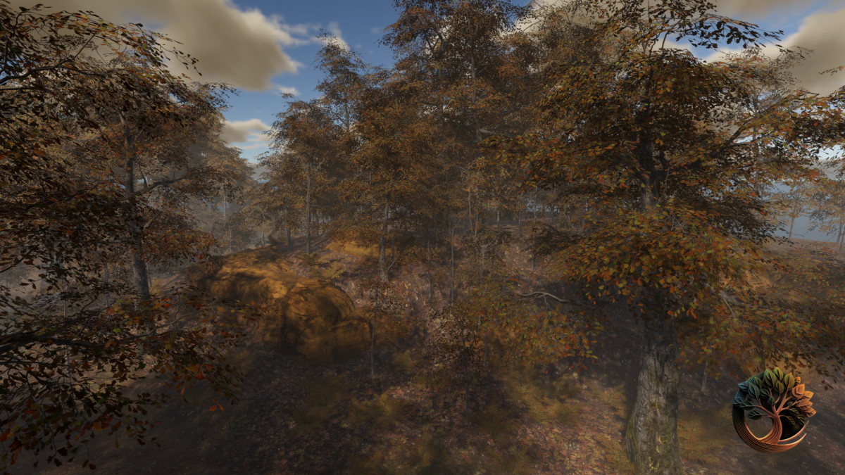 Broadleaf Forest