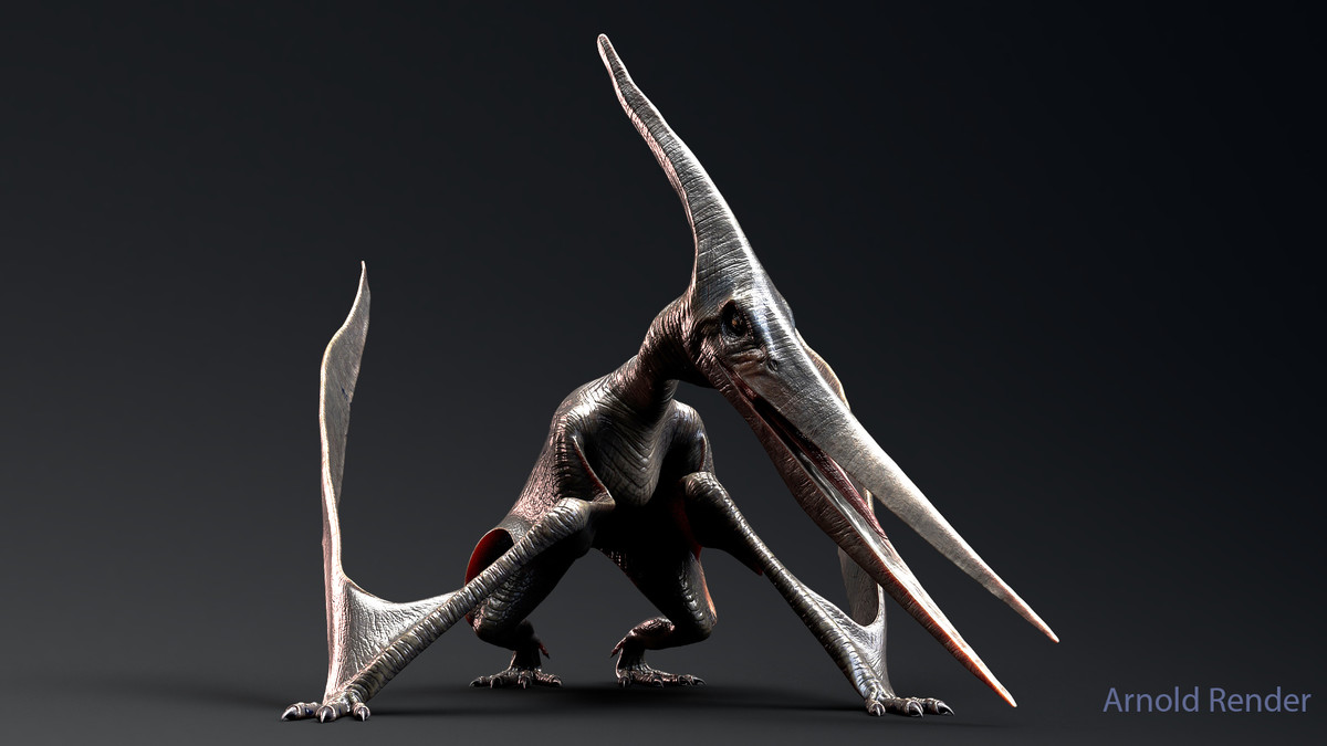Dinosaur Pteranodon 179 Animations