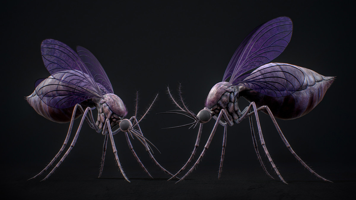 Mosquito Queen - Fantasy Poison Mosquitoes