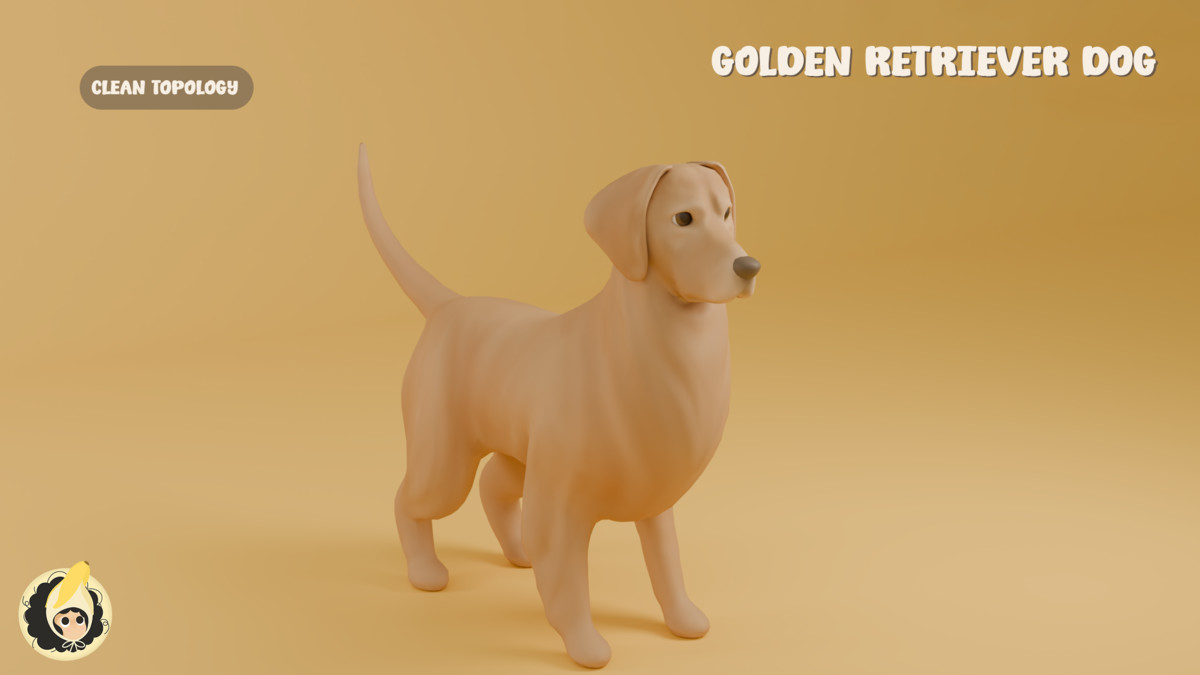 Golden Retriever Dog