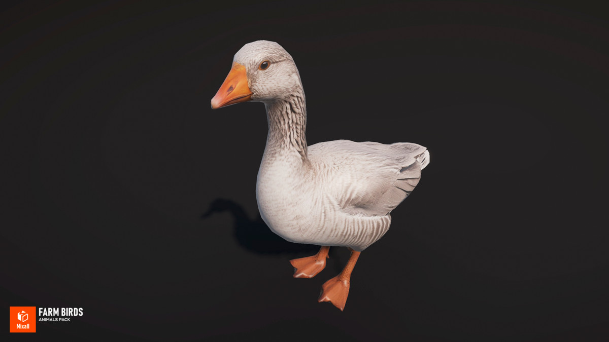 Farm birds - animals pack