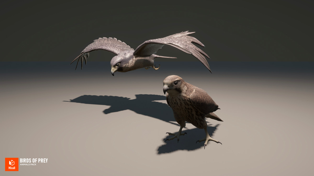 60 Birds - Full Animals Pack