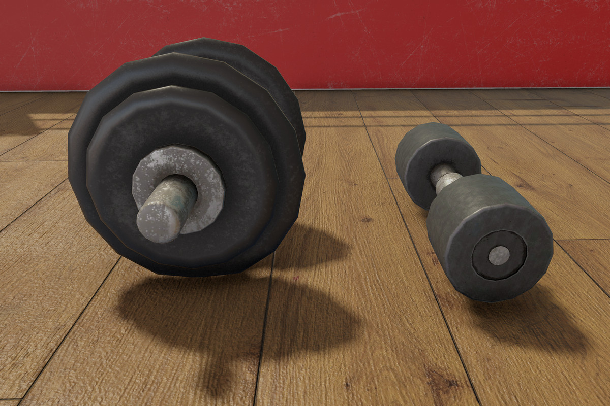 Boxing and Gym Equipment