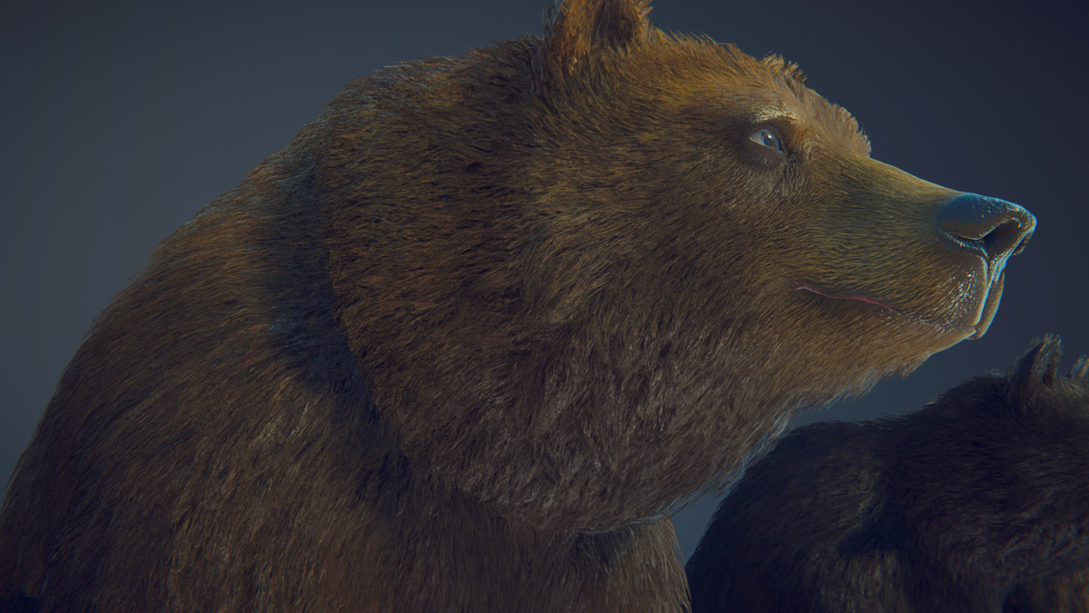 Realistic Bears