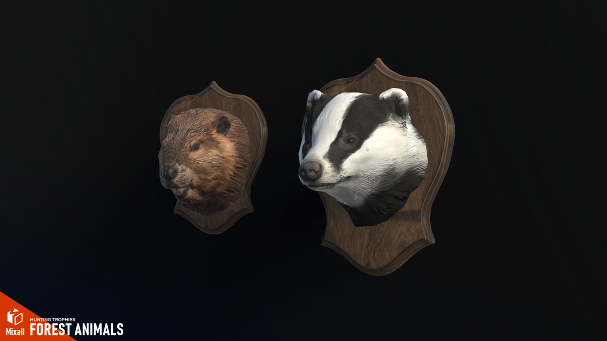 Forest animals – Hunting trophies