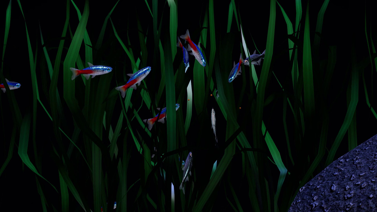 Fish School AI - Tropical Aquarium Set