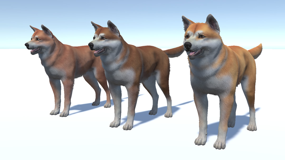 Dog - Akita Inu
