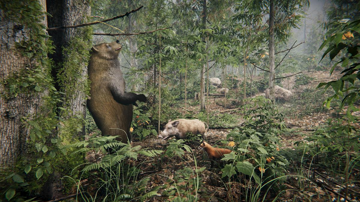 Realistic: Animal Forest Set