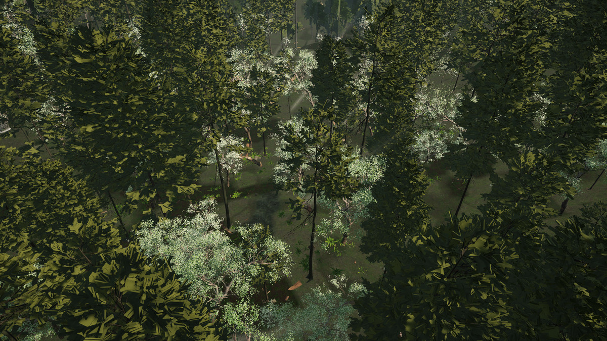 Wildwood Haven