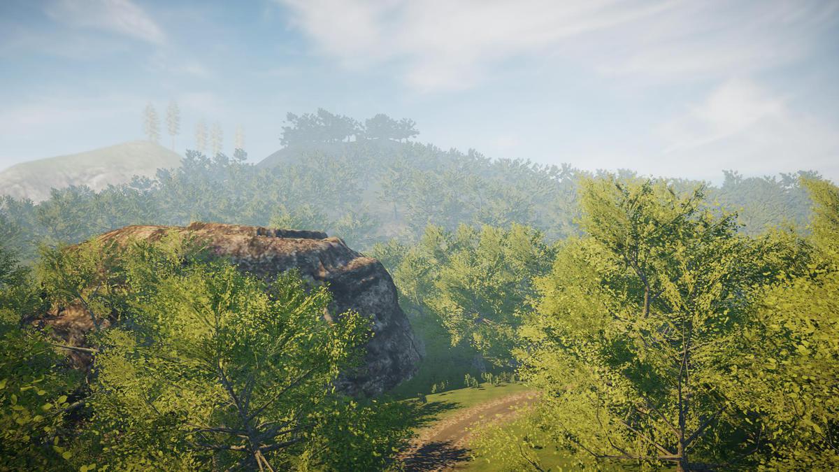 Big Tree Bundle
