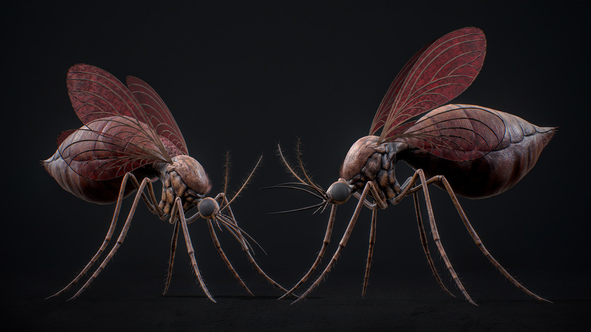 Mosquito Queen - Fantasy Poison Mosquitoes