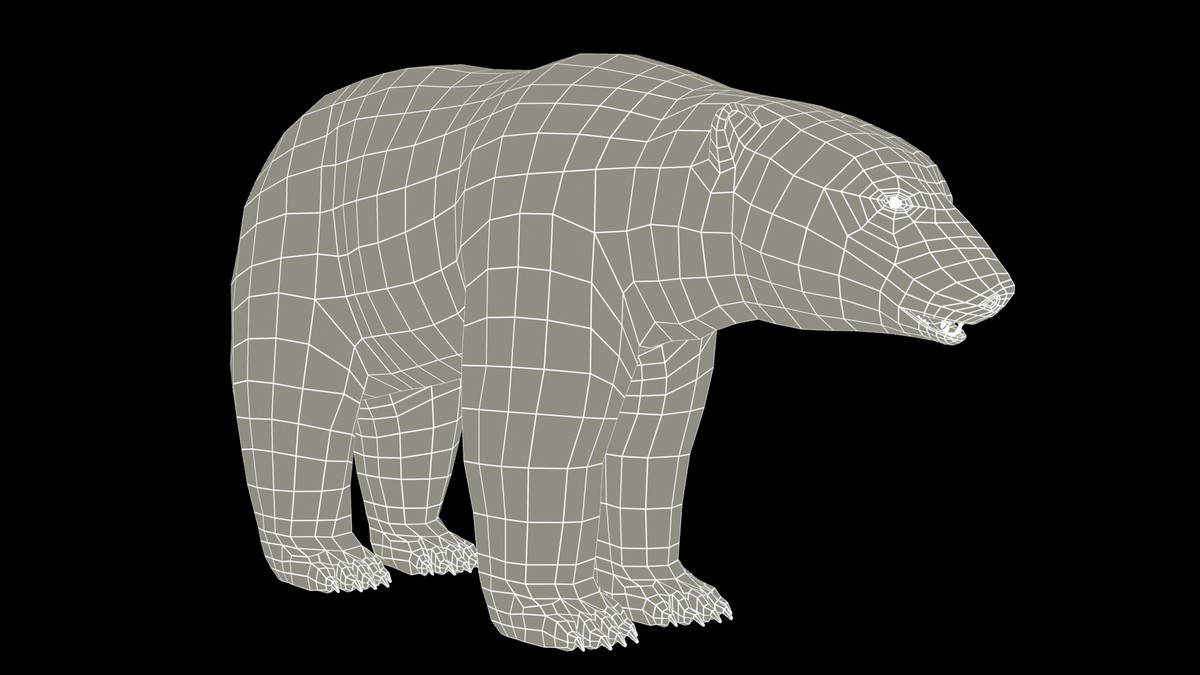 Polar Bear Animated