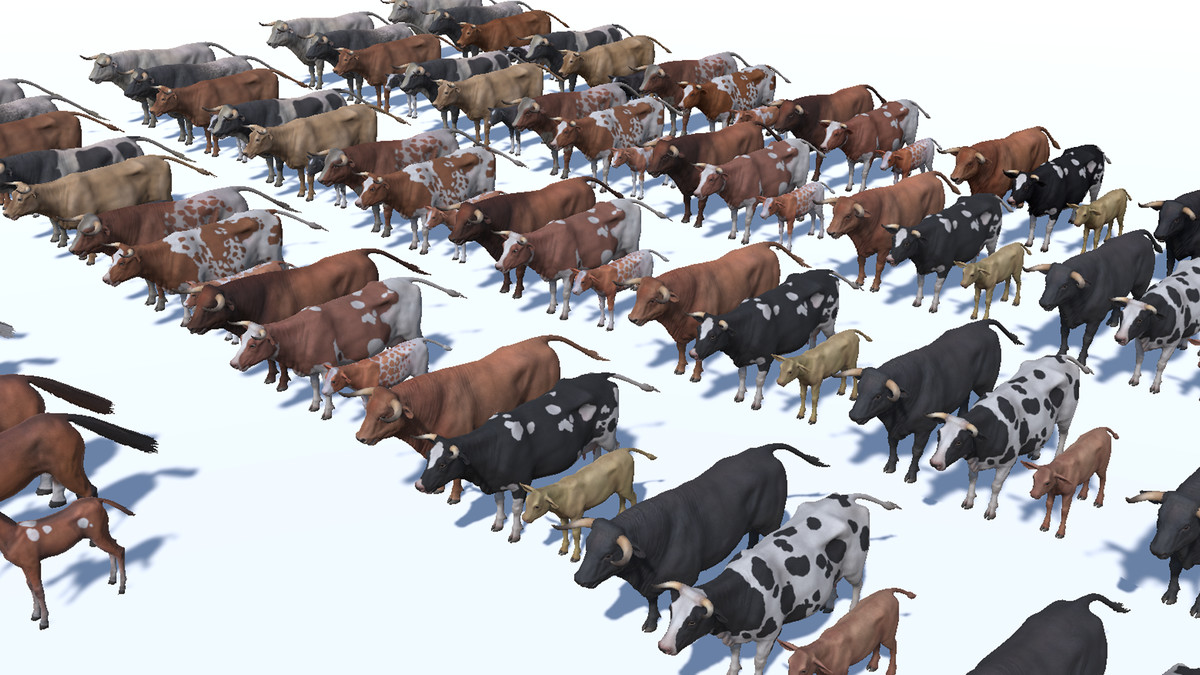 DOMESTIC ANIMAL PACK