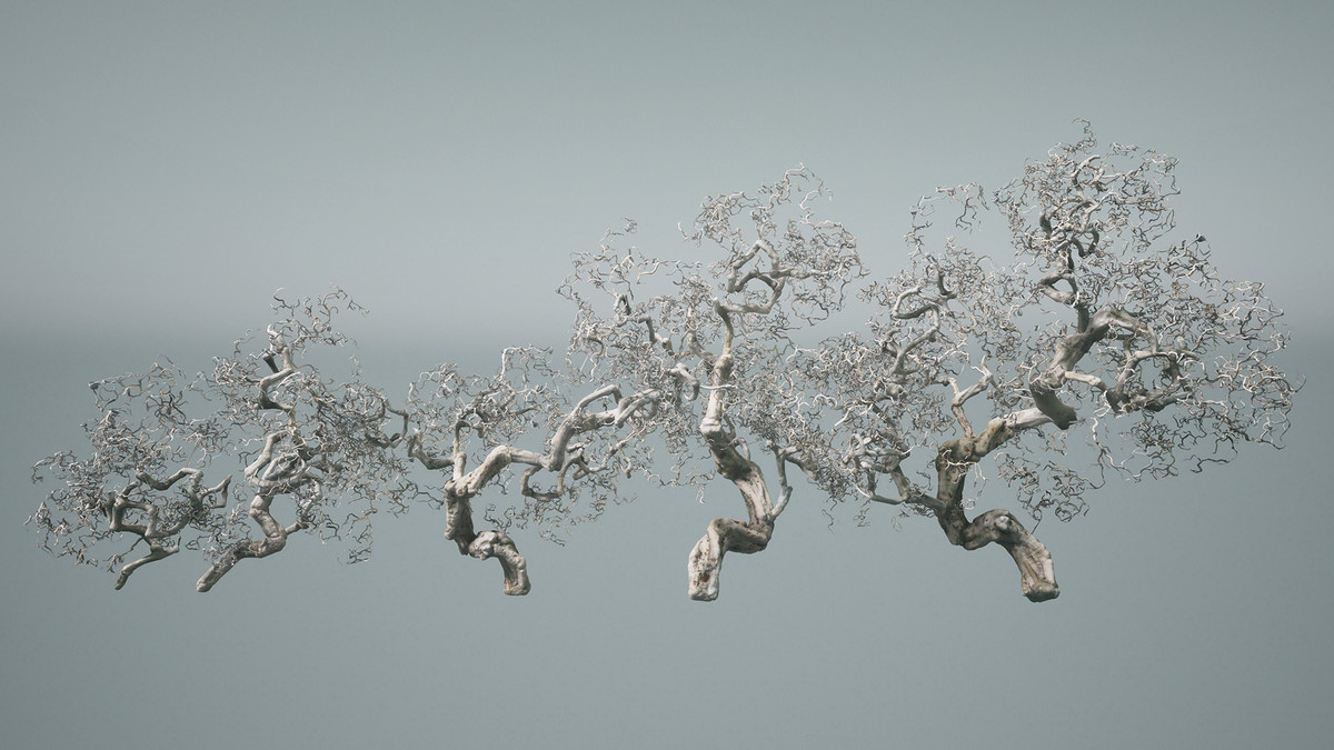 Decay trees