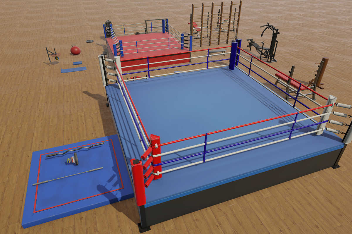 Boxing and Gym Equipment