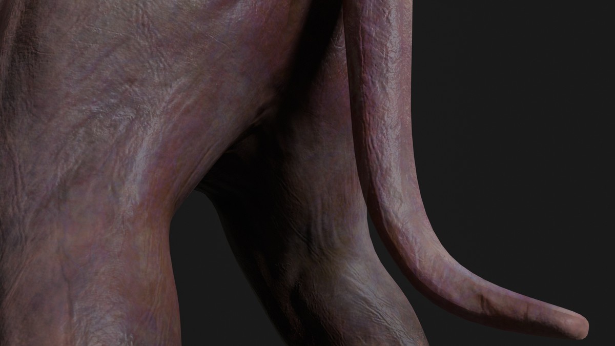 Dog - Mutant Collection