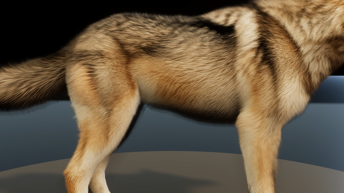 Forest Predators Collection - Realistic Animated Animals