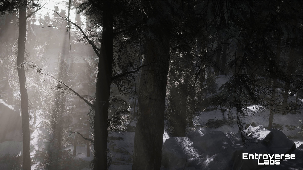 Taiga Biome Environment / Boreal Tundra Forest