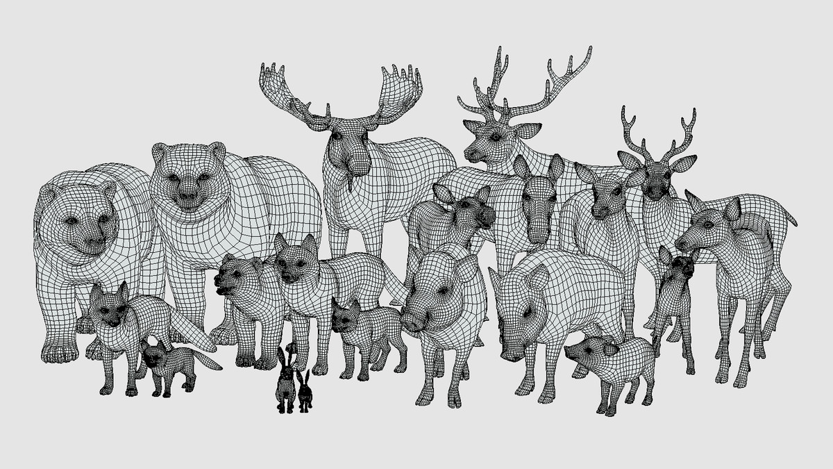 Cartoon Wild Animals