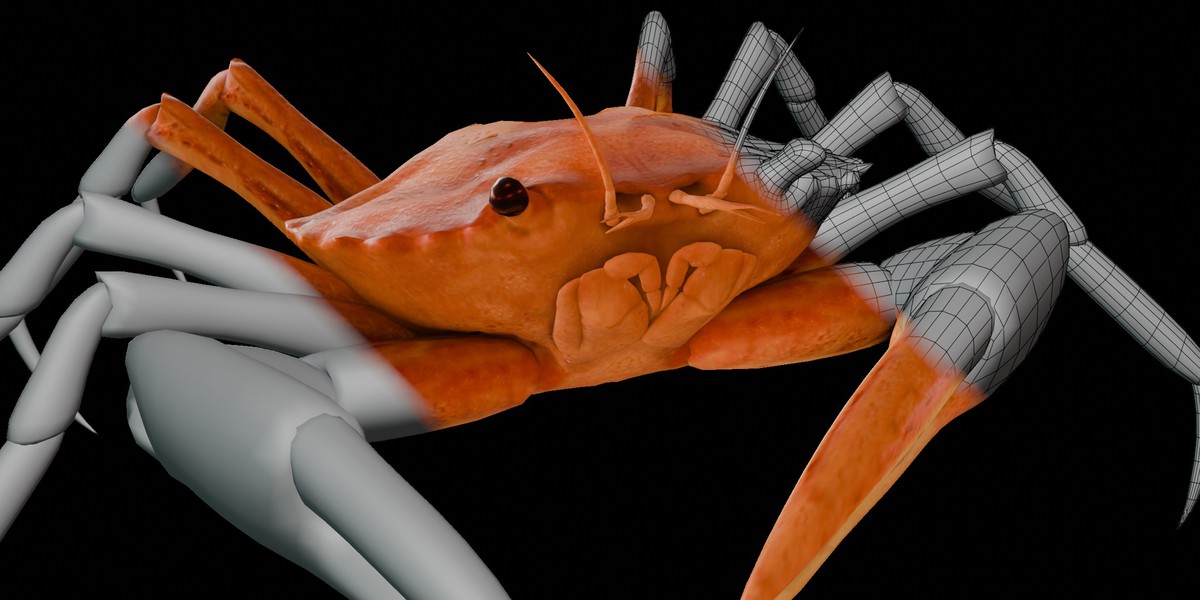 Animated Crab