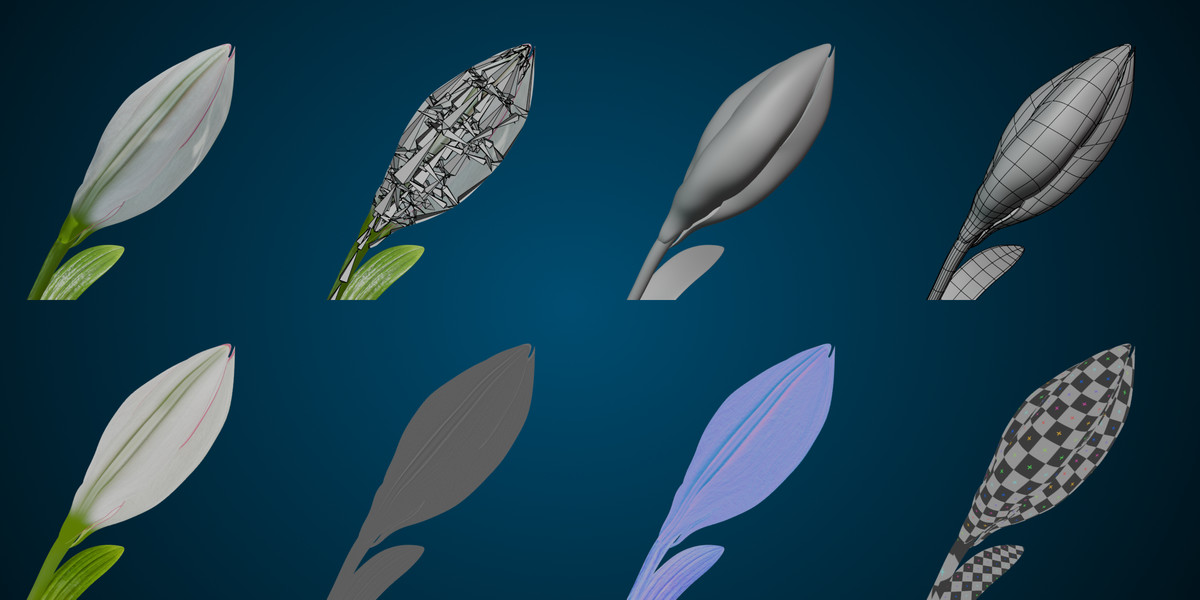 Animated blooming lily