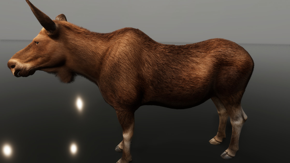 Ultrarealistic Forest Animals - Customizable Fur