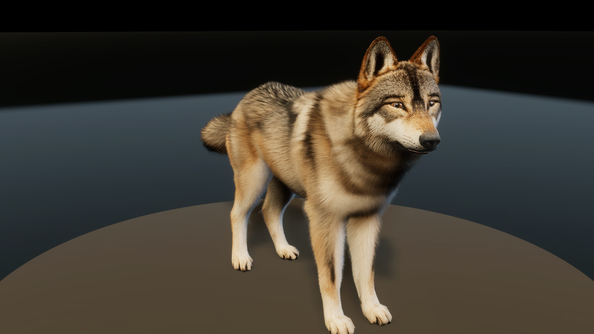 Forest Predators Collection - Realistic Animated Animals