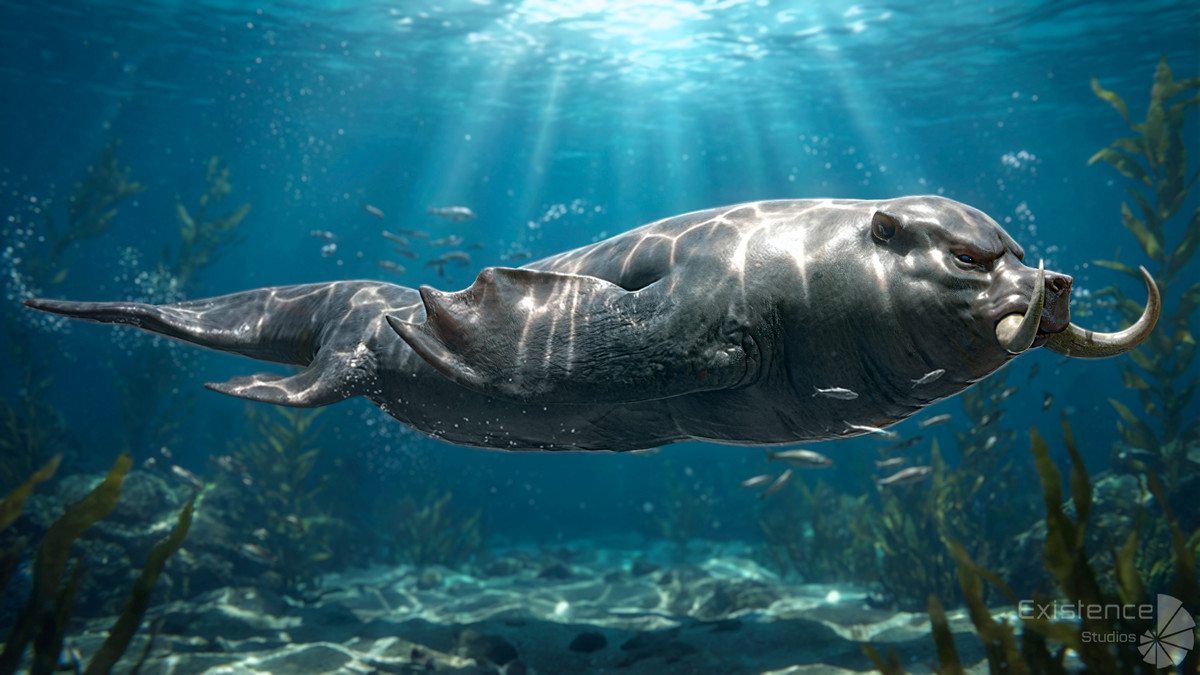 Walrus Seal - Underwater Enemy Creature