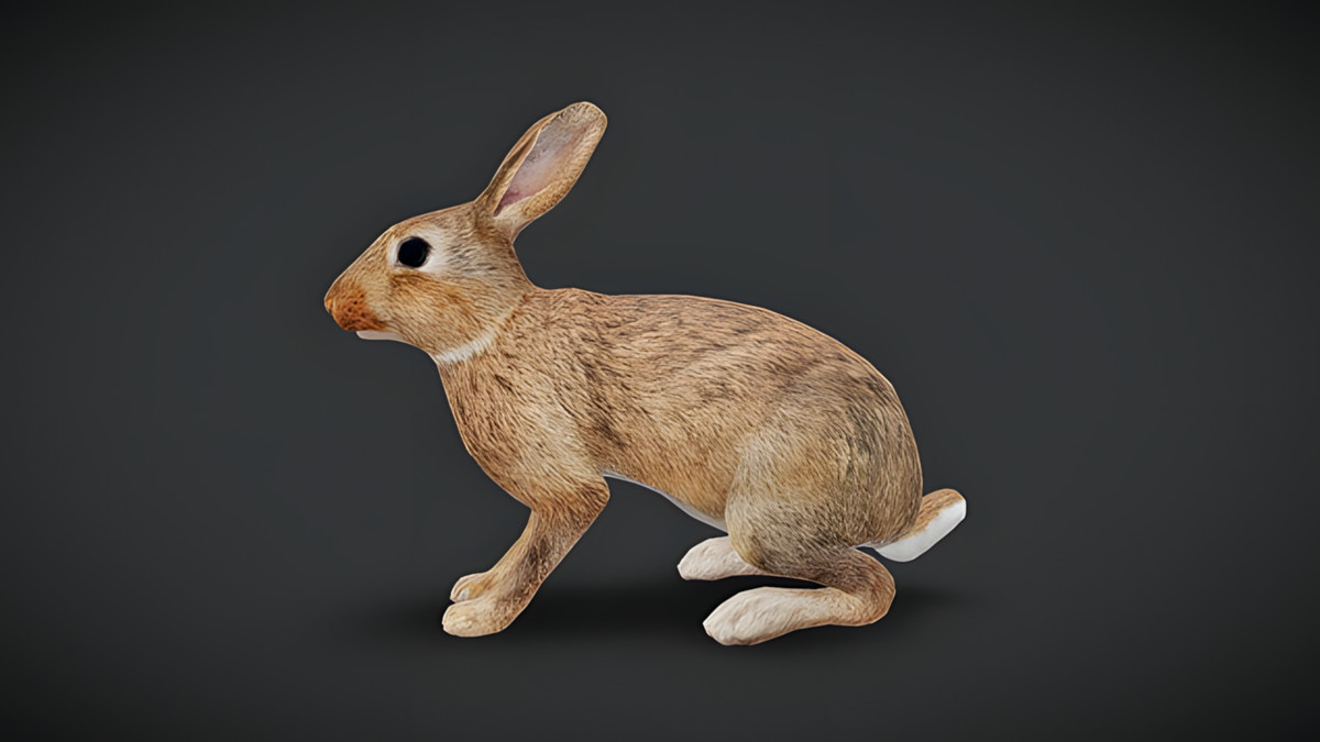 WILDPOLY - Animated Animals – Realistic Pack