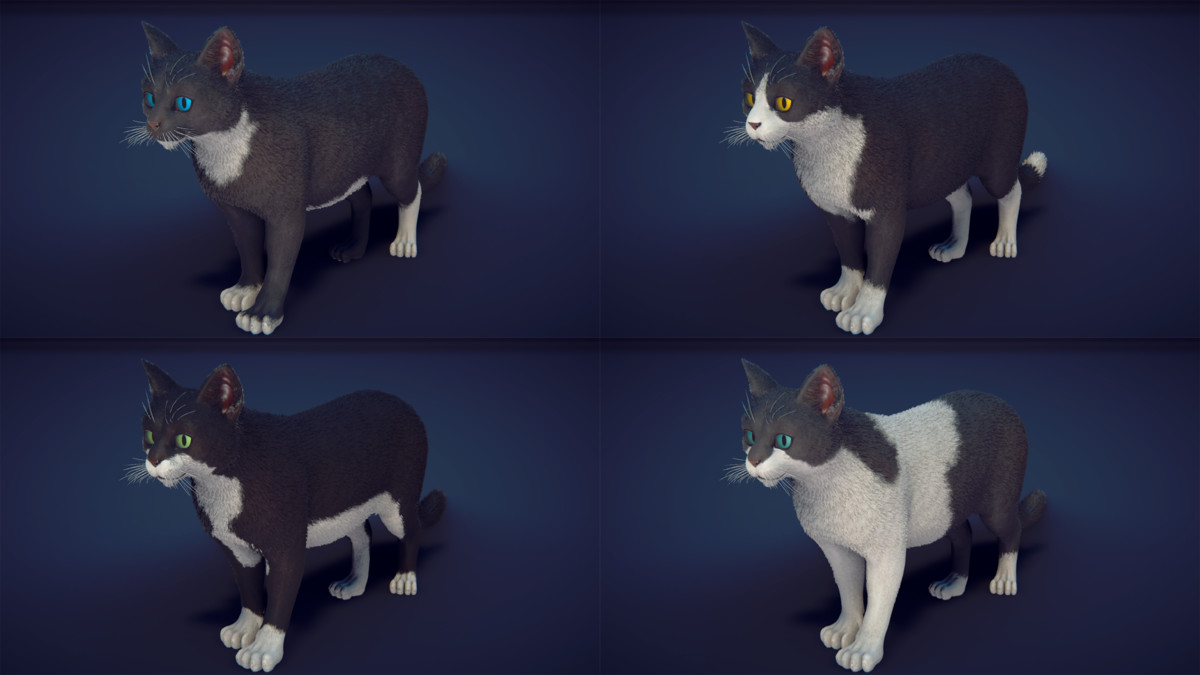 Milo the Cat