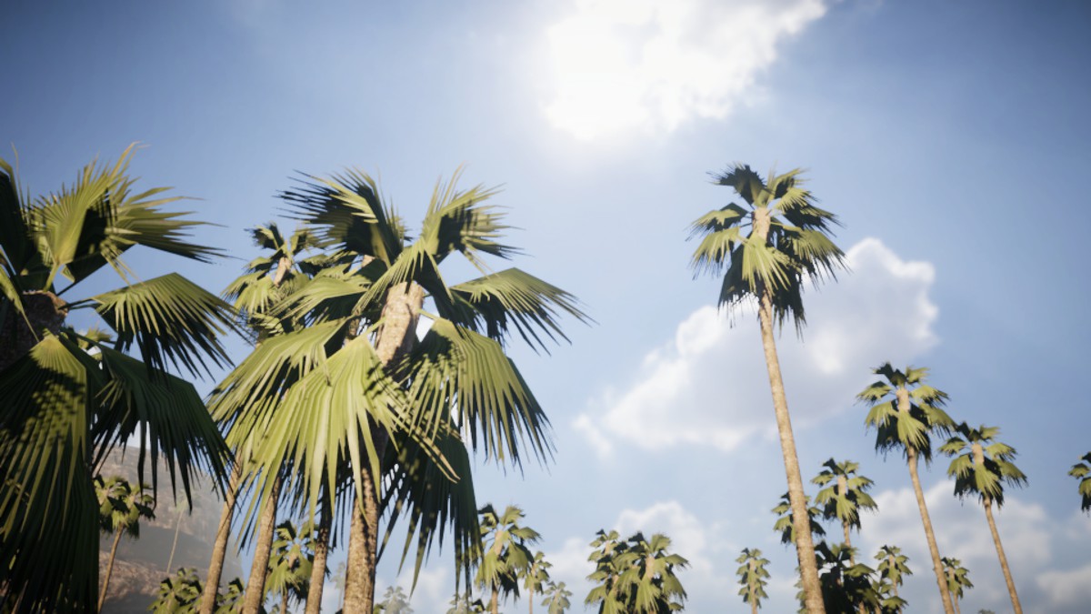 Mobile Palm Tree Bundle (for URP)