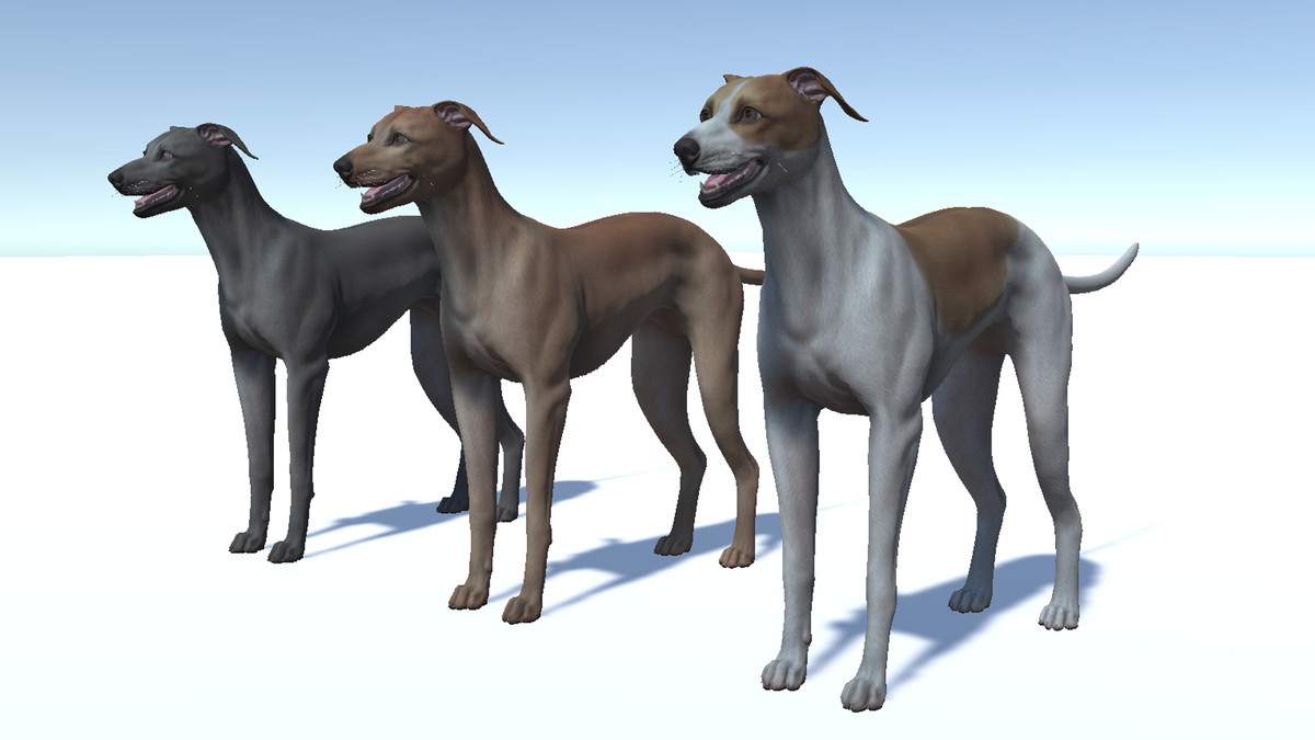 Dog -- Greyhound