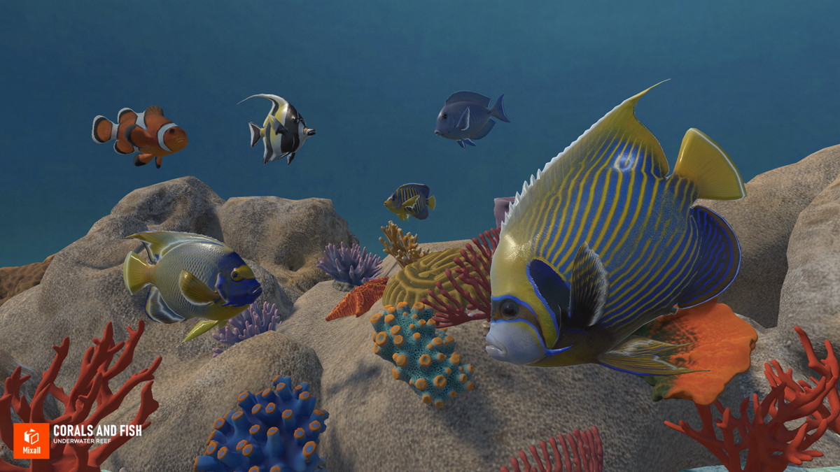 Corals and fish - underwater reef