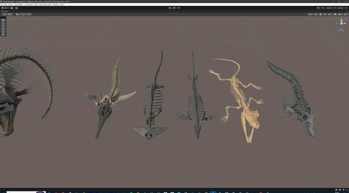Fish and Underwater Creatures Skeleton Collection – Marine Bone 3D Asset Pack