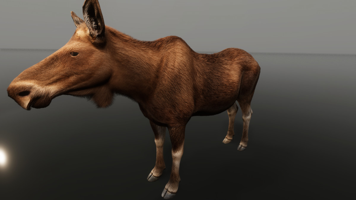 Ultrarealistic Forest Animals - Customizable Fur