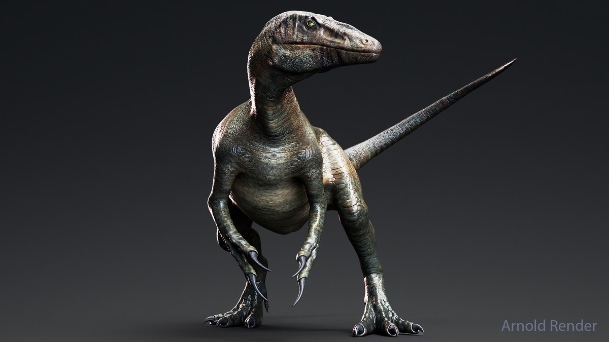 Dinosaur Raptor - MegaRaptor