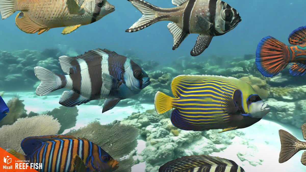 Reef fish - large pack