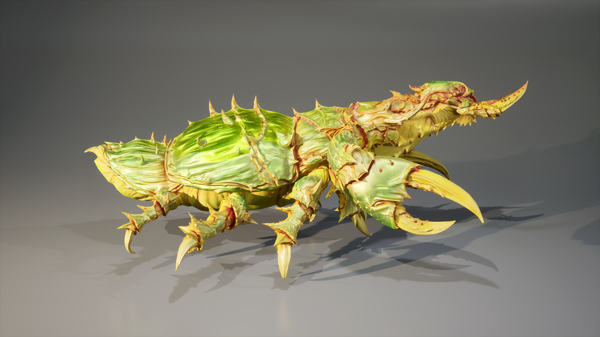 Insect