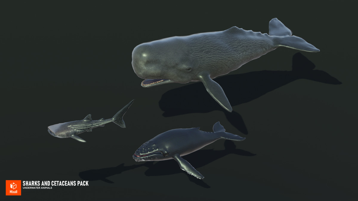 Sharks and Cetaceans Pack