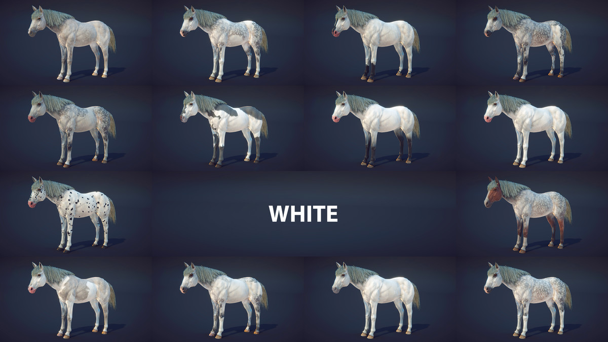 Horse Animset Pro 4 (140 Skin Add-on)