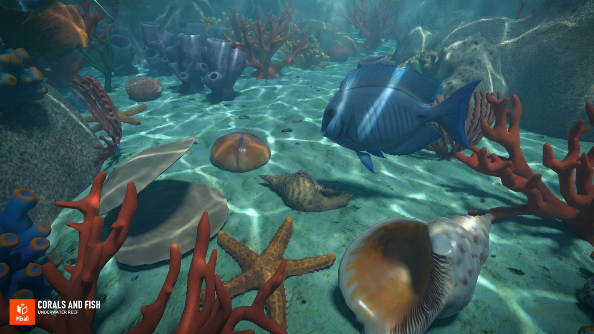 Corals and fish - underwater reef