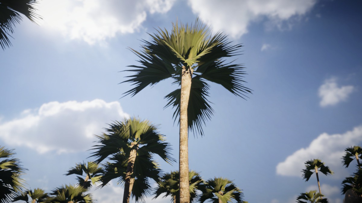Mobile Palm Tree Bundle (for URP)