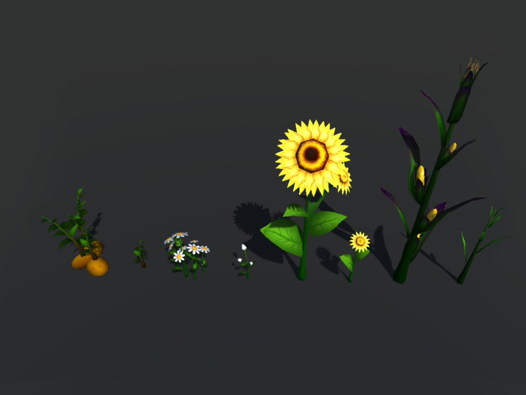 Village Life-Market and Garden