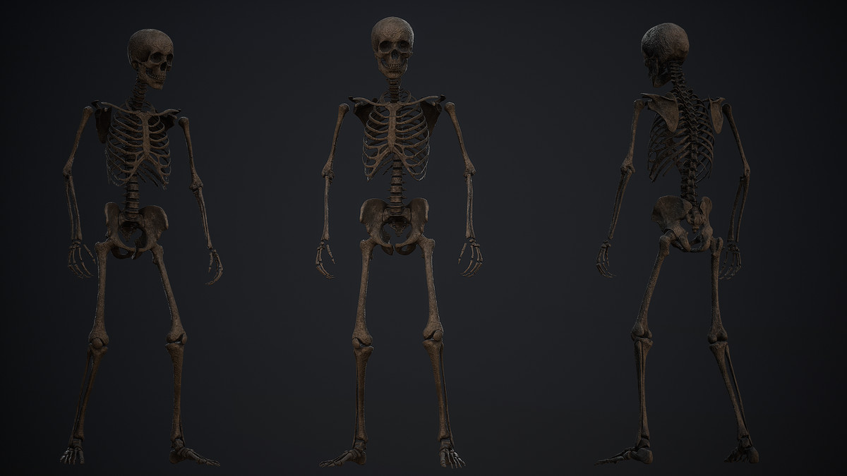 Skeleton Base