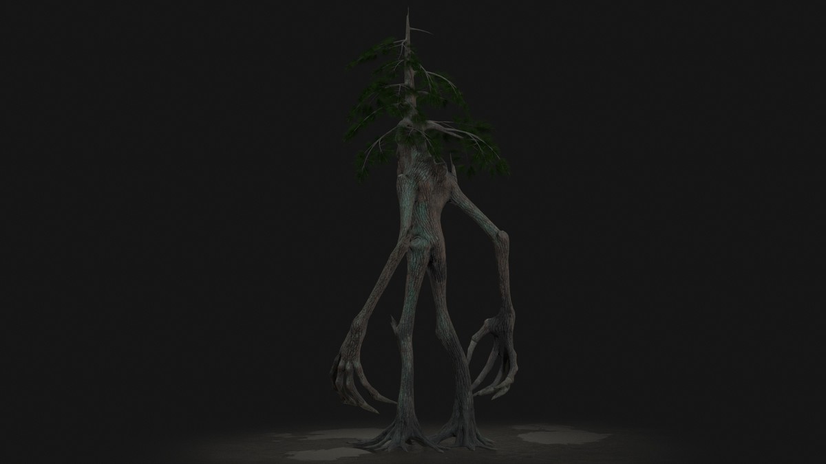 Pine Tree — Ent Collection
