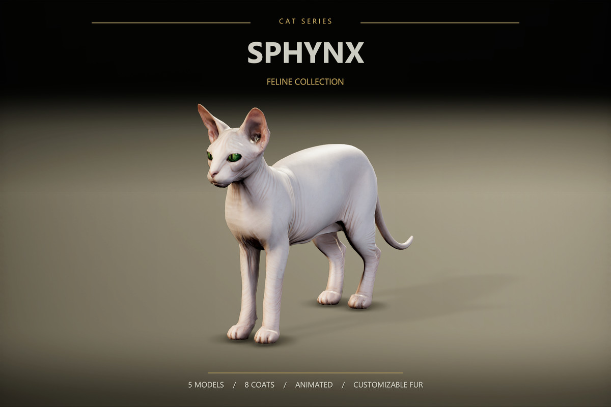 Feline Collection – Realistic Animated Cats with Customizable Fur