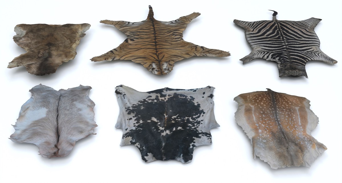 animal pelts volume two: cow, zebra, tiger, bear, deer, goat