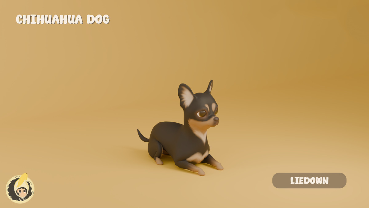 Animated Chihuahua Dog