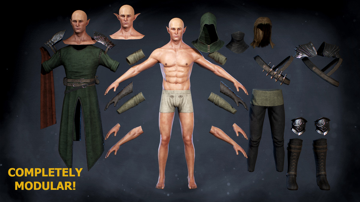 Elf Assasin Modular