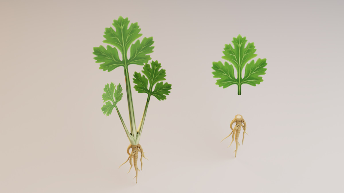 Stylized Asian Vegetable 3D Model Pack – Modular Low Poly Set